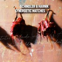 SCHINDLER + HARNIK - l
synergetic matches
