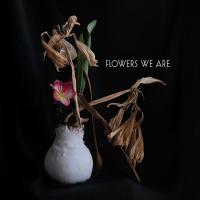 FLOWERS WE ARE - l
flowers we are