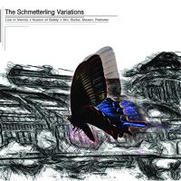 ILLUSION OF SAFETY AND OTHERS - l
the schmetterling variations